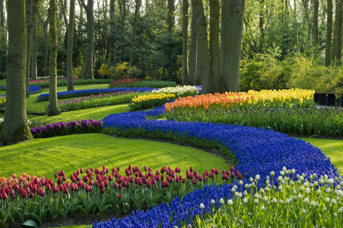 I 10 giardini più belli del mondo